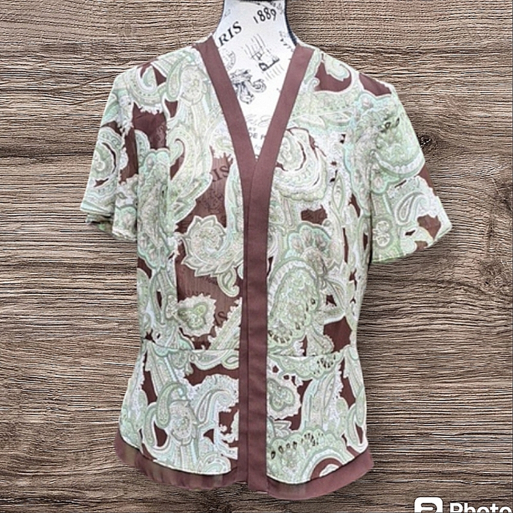 Studio I Vintage Sheer Green Top